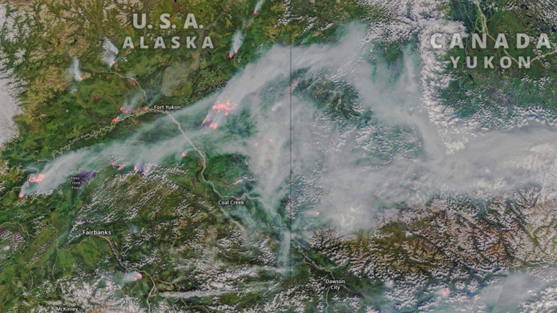 Waldbrand sibirien 2020