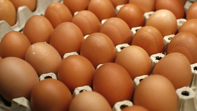 Fipronil: Österreichische Eier sind nicht betroffen