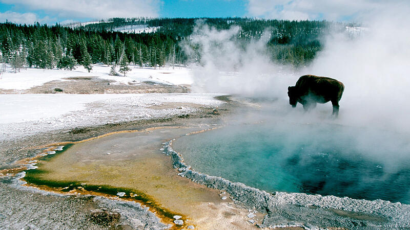 150 Jahre Yellowstone: der Vater der Nationalparks