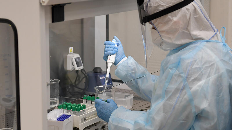 PG LIFEBRAIN GROUP "30.000 PCR-TESTS PRO TAG": LABOR
